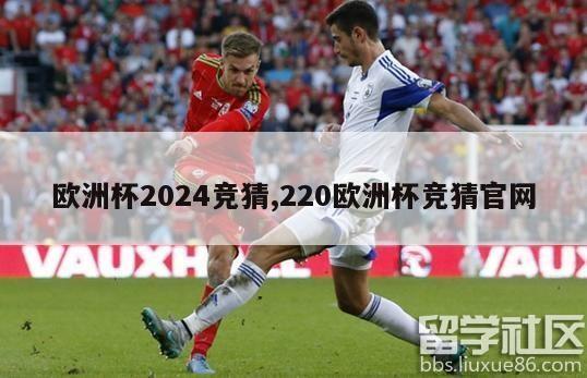 欧洲杯2024竞猜,220欧洲杯竞猜官网