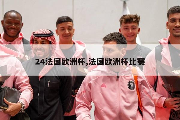 24法国欧洲杯,法国欧洲杯比赛