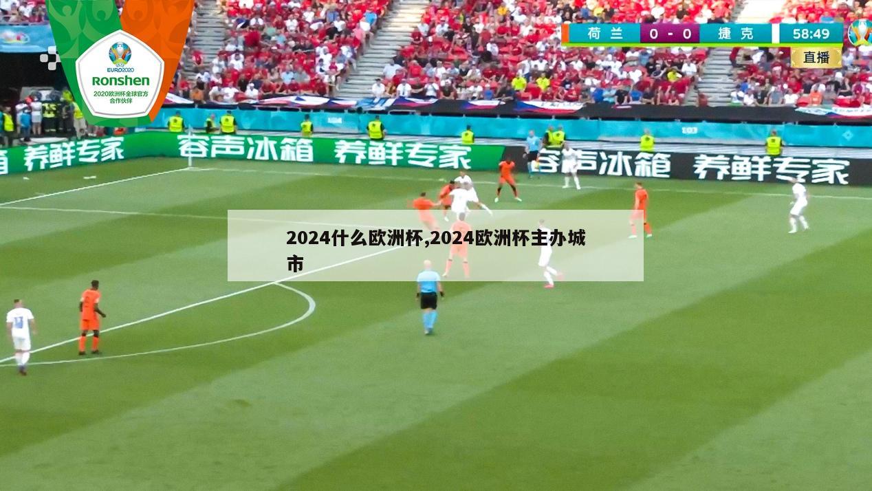 2024什么欧洲杯,2024欧洲杯主办城市