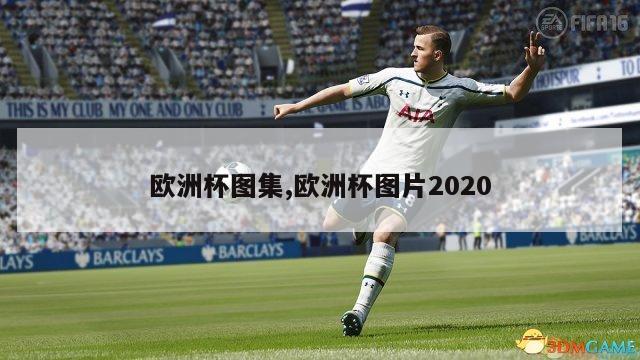 欧洲杯图集,欧洲杯图片2020